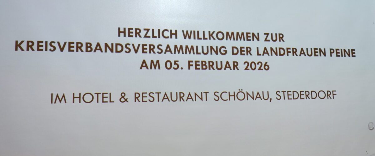 IMG 20260205 175236 1200x500