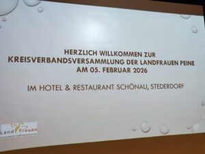 IMG 20260205 175236 300x225