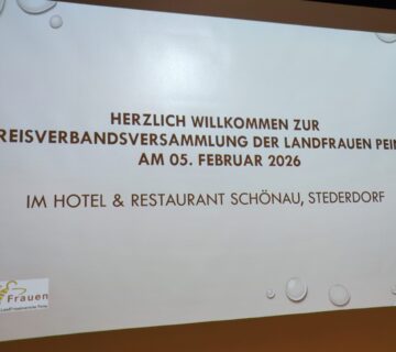 IMG 20260205 175236 360x320