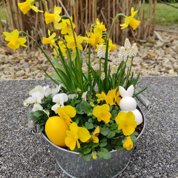 Ostern 4 Fotograf: St Lindner