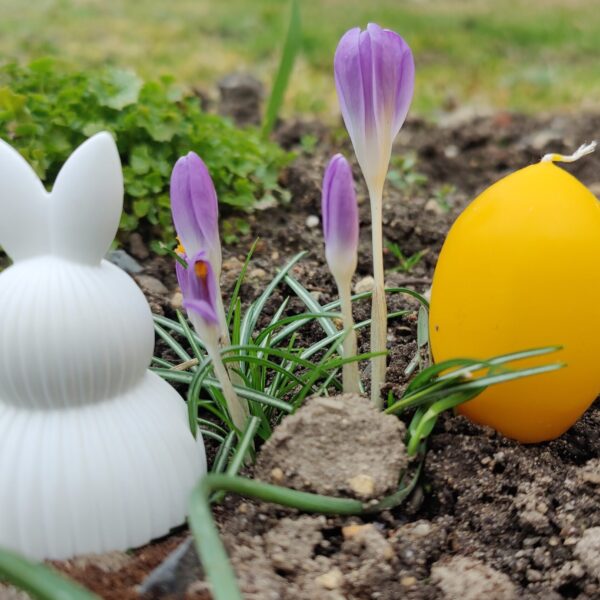 Ostern 2 Foto: St Lindner