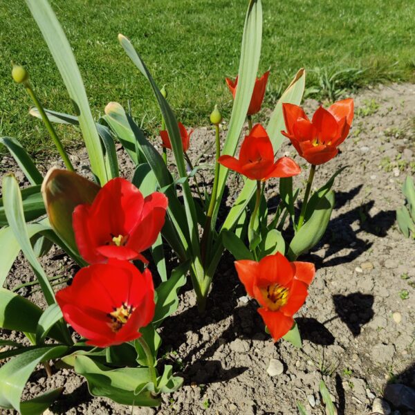 IMG_20260407_123755 Foto: St Lindner