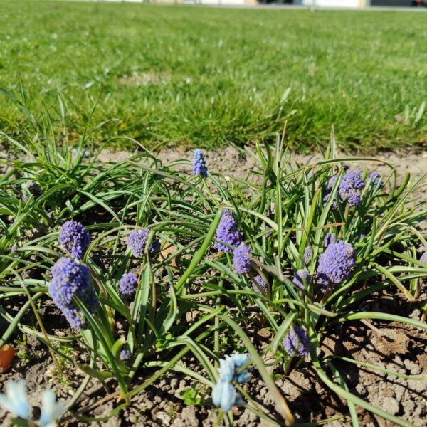 IMG_20260407_123803 Foto: St Lindner